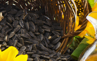 Слънчогледово масло (Helianthus annuus) Слънчогледово масло (Helianthus annuus)